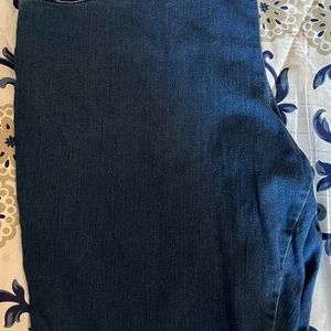 4x Terra & Sky Bermuda Style Pant